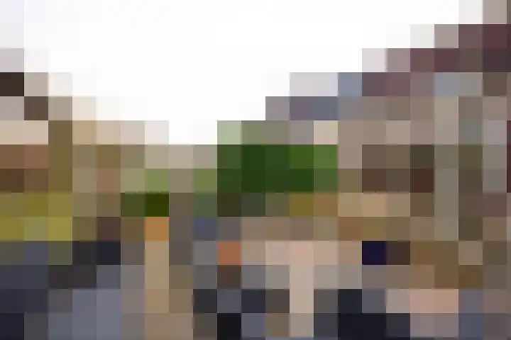Cosmeaduin 32 Leiden thumbnail 26