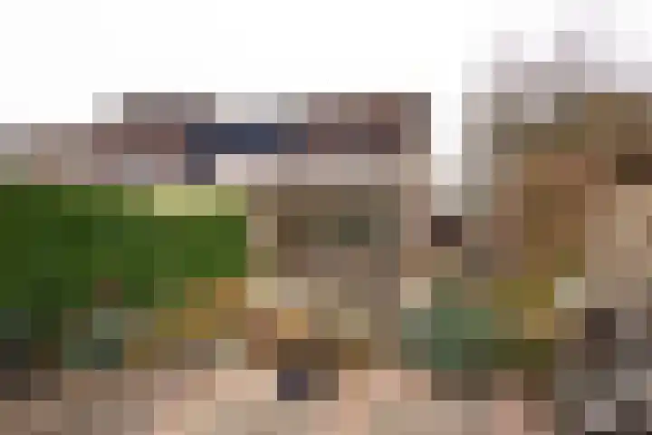 Cosmeaduin 32 Leiden thumbnail 27