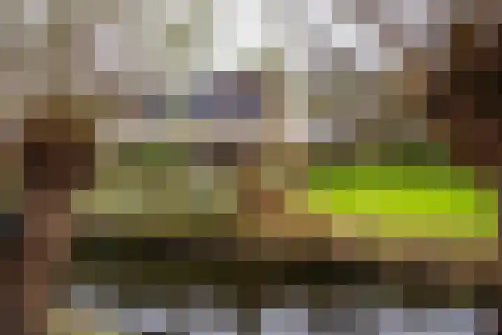 Cosmeaduin 32 Leiden thumbnail 32
