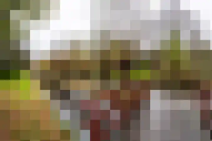 Cosmeaduin 32 Leiden thumbnail 33