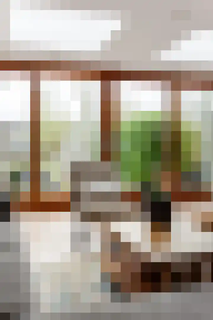Cosmeaduin 32 Leiden thumbnail 6