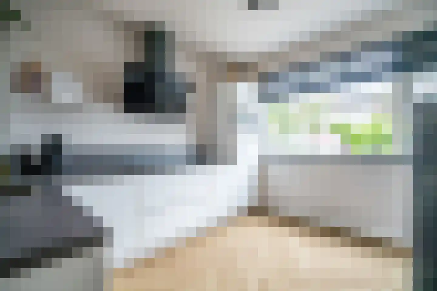 Cosmeaduin 9 Leiden thumbnail 25