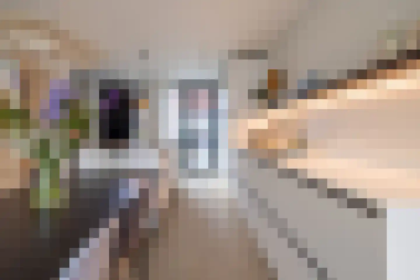 Cosseehof 14 Rotterdam thumbnail 10
