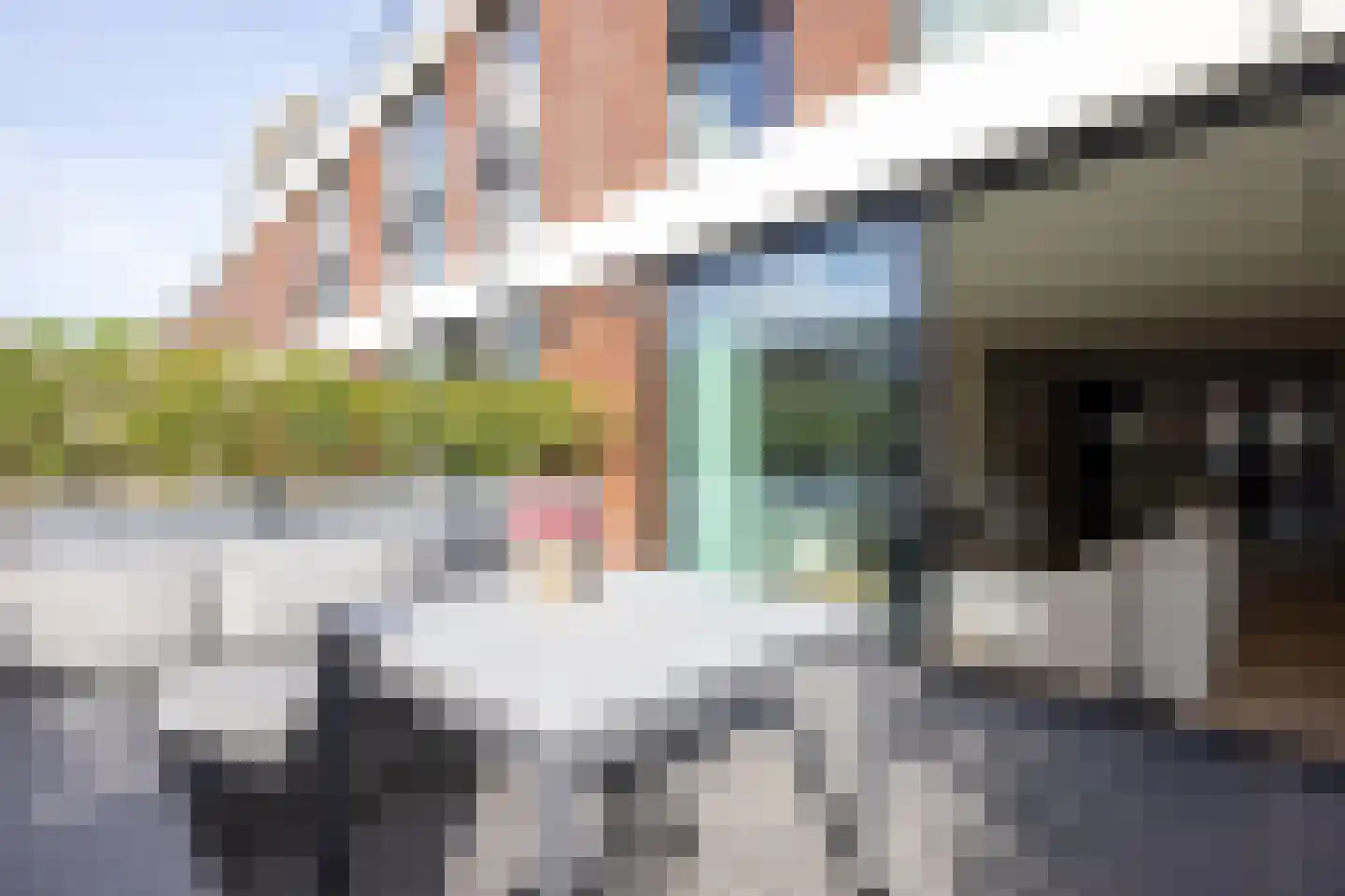 Cosseehof 14 Rotterdam thumbnail 18