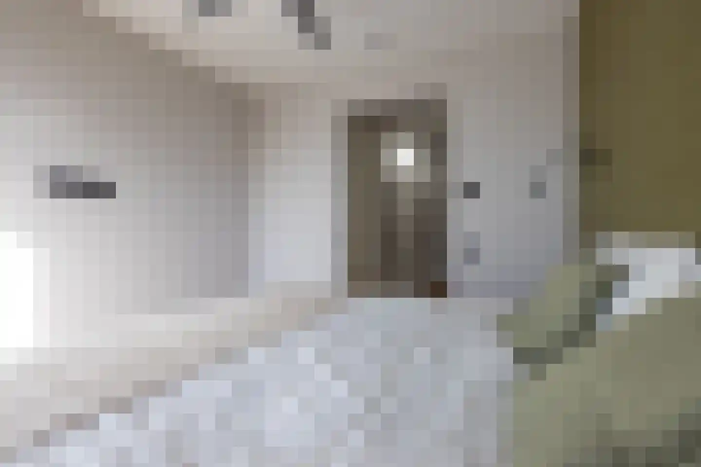 Cosseehof 14 Rotterdam thumbnail 25