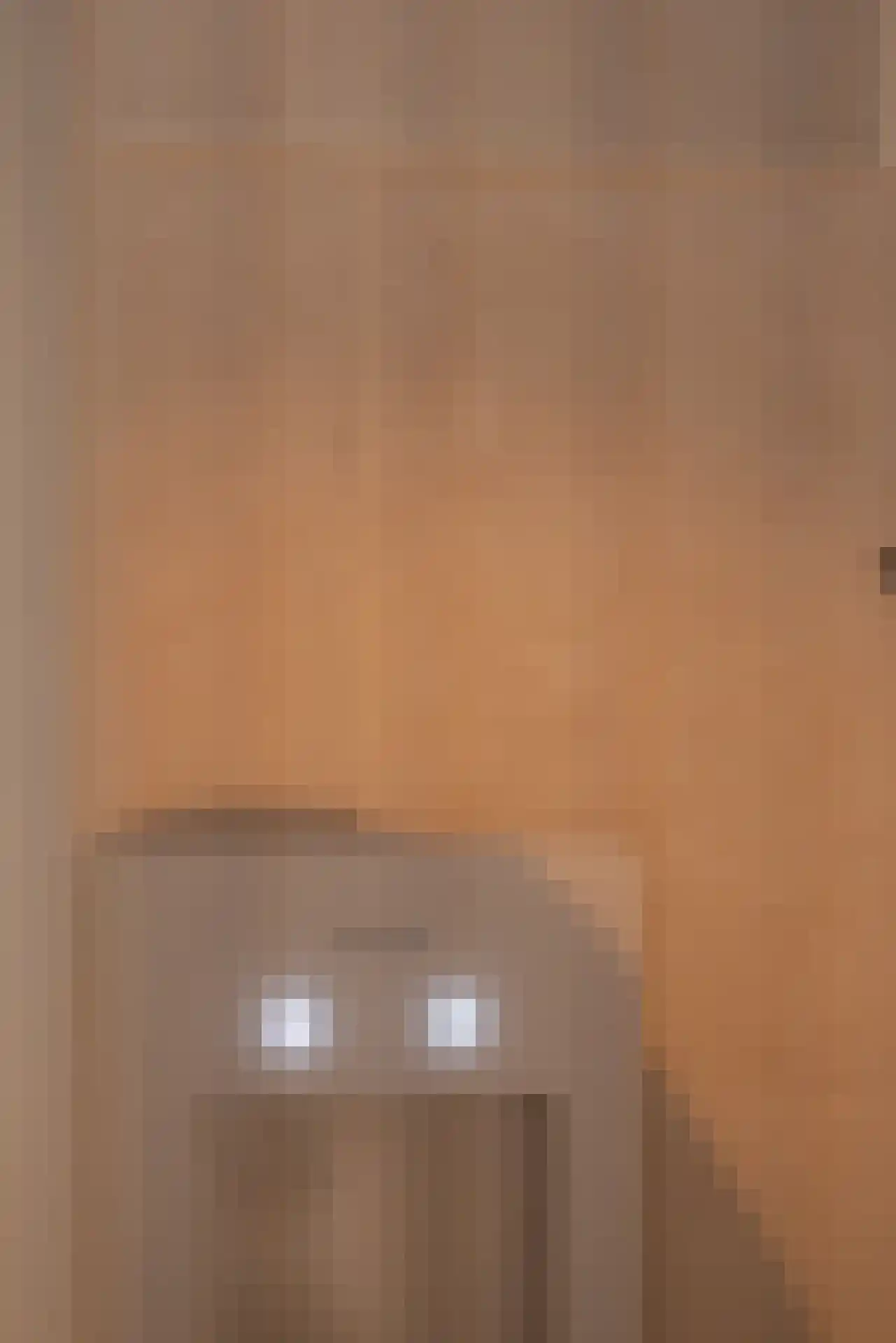 Cosseehof 14 Rotterdam thumbnail 31