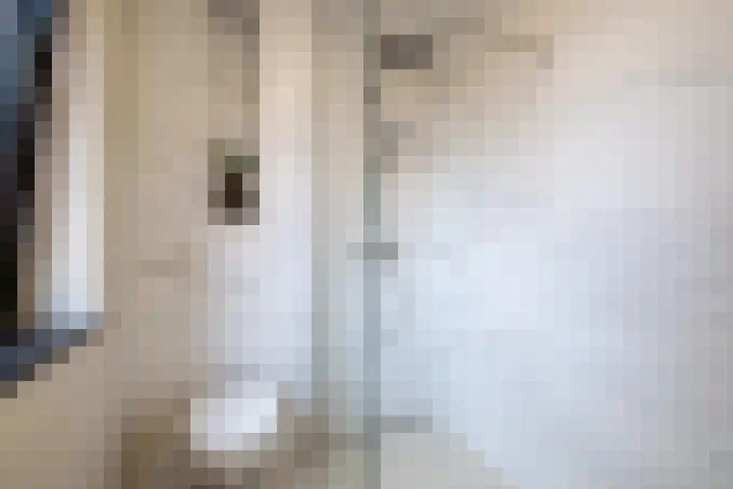 Cosseehof 14 Rotterdam thumbnail 40
