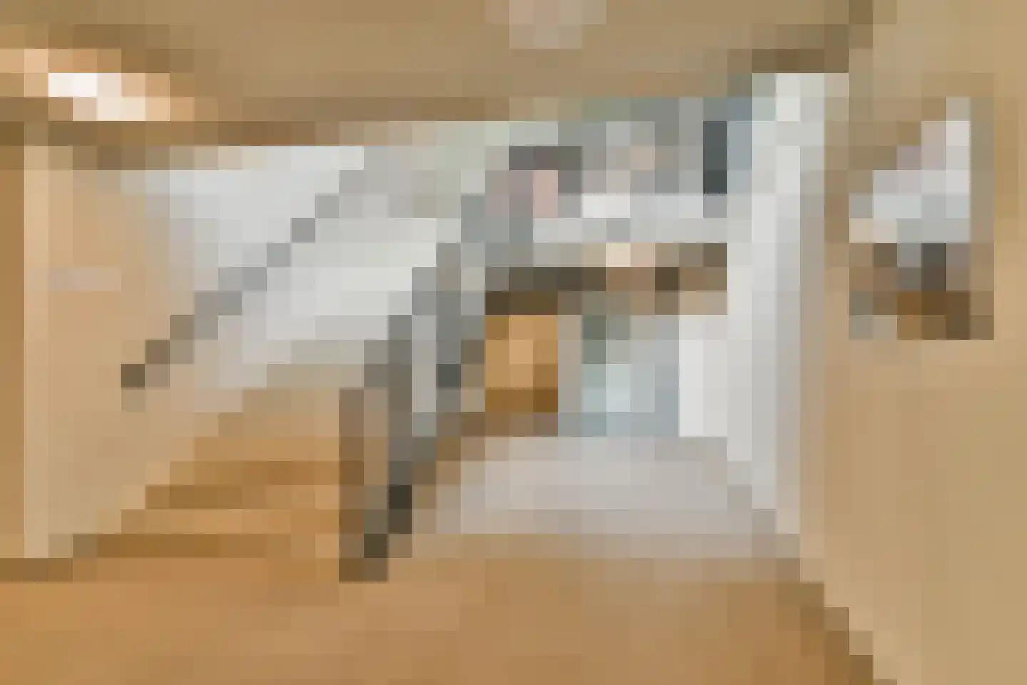 Cosseehof 22 Rotterdam thumbnail 10