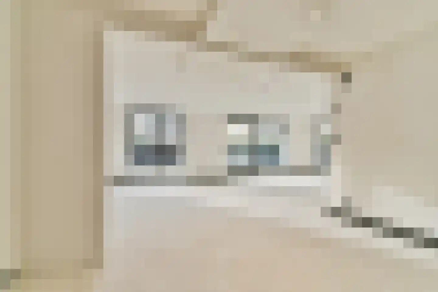 Cosseehof 22 Rotterdam thumbnail 20