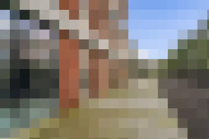 Cosseehof 22 Rotterdam thumbnail 27