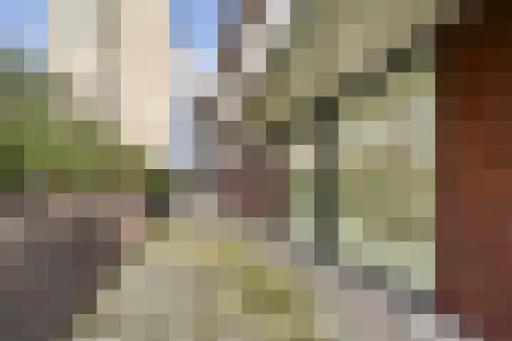 Cosseehof 22 Rotterdam thumbnail 28