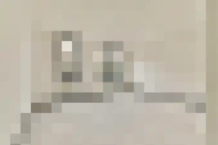 Cosseehof 22 Rotterdam thumbnail 31