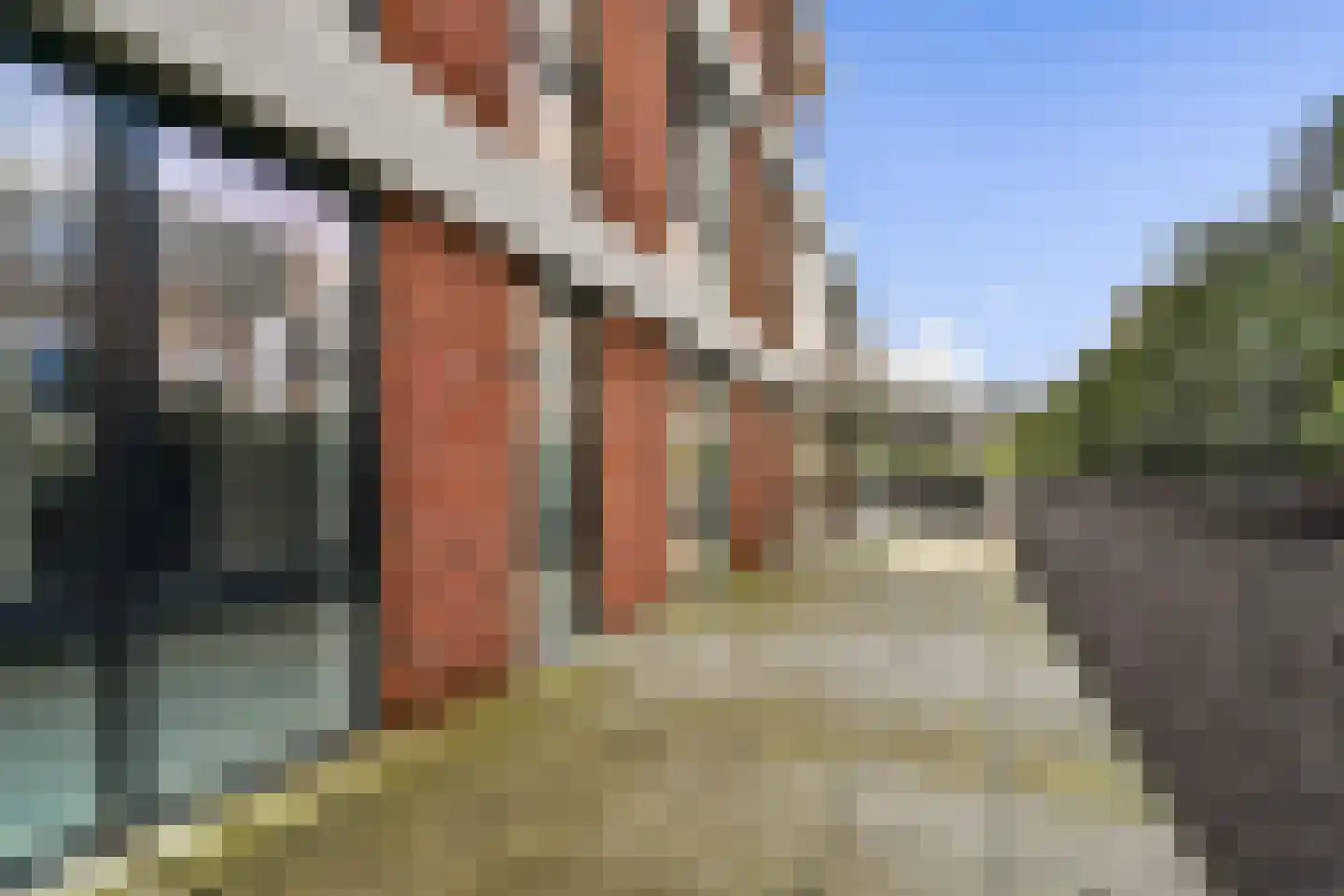Cosseehof 22 Rotterdam thumbnail 31