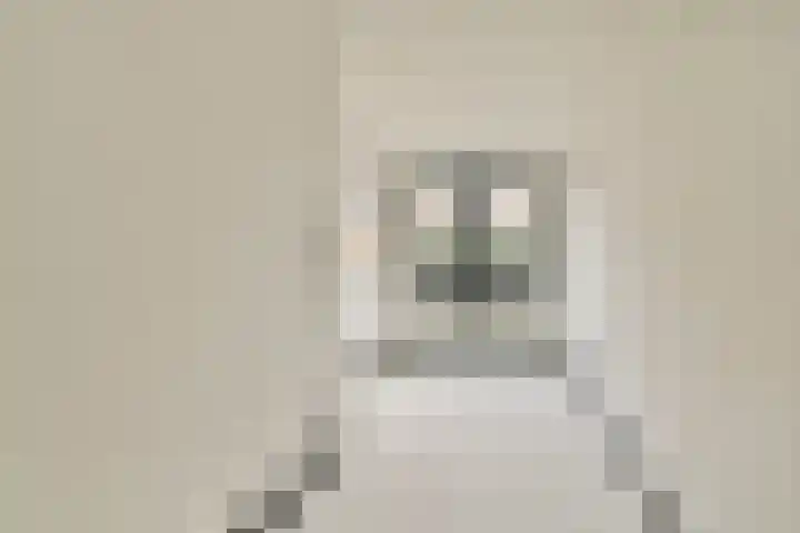 Cosseehof 22 Rotterdam thumbnail 35