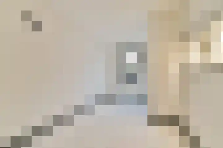 Cosseehof 22 Rotterdam thumbnail 37
