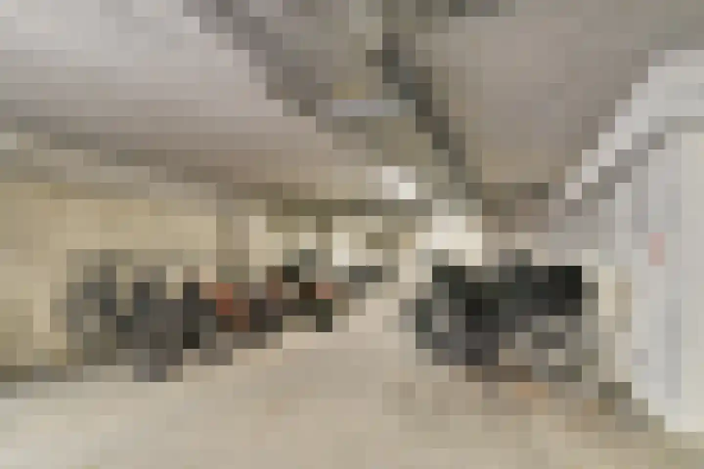 Cosseehof 22 Rotterdam thumbnail 46