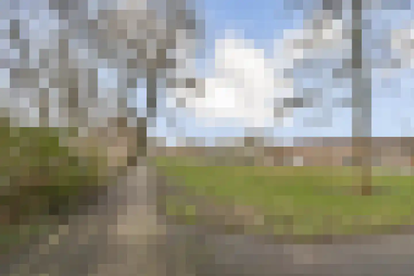 Cosseehof 22 Rotterdam thumbnail 48
