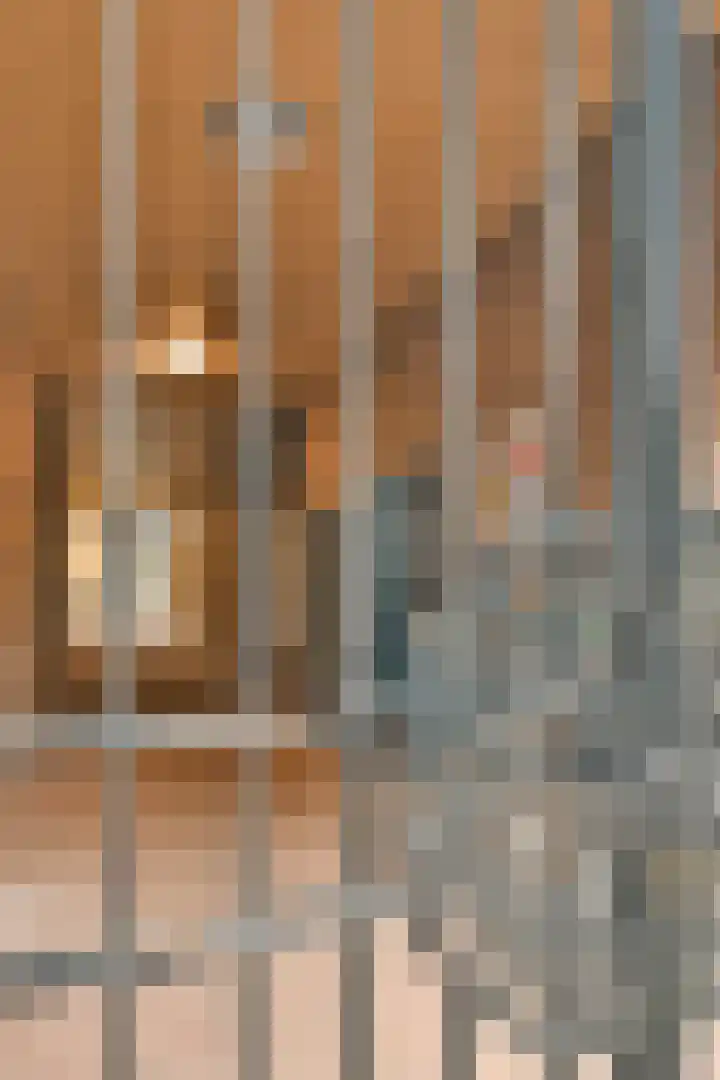 Cosseehof 22 Rotterdam thumbnail 5