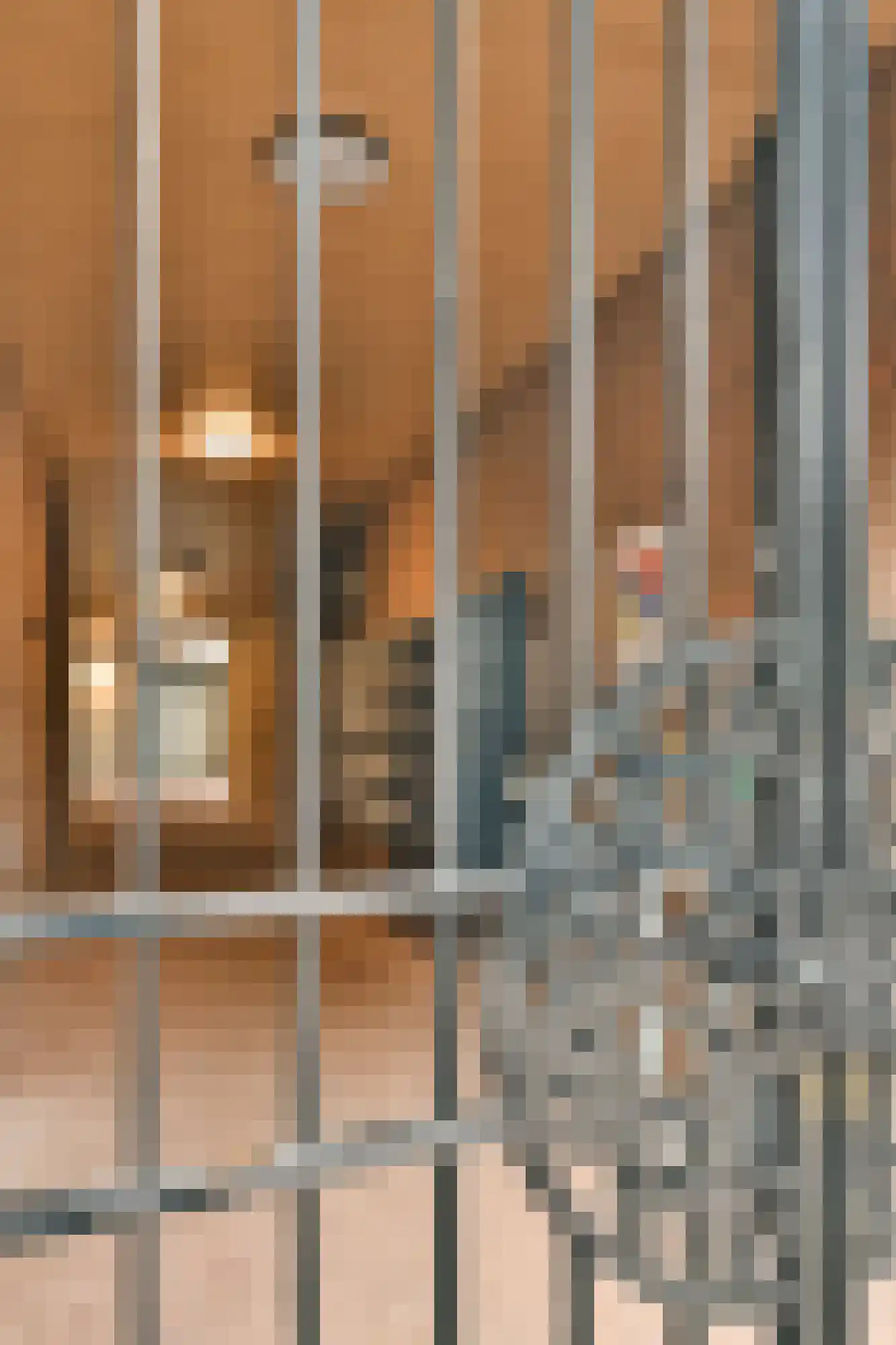 Cosseehof 22 Rotterdam thumbnail 8