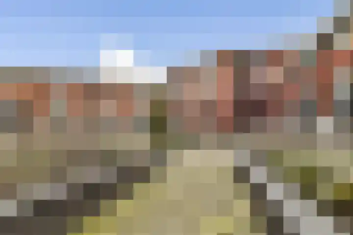 Cosseehof 22 Rotterdam thumbnail 8