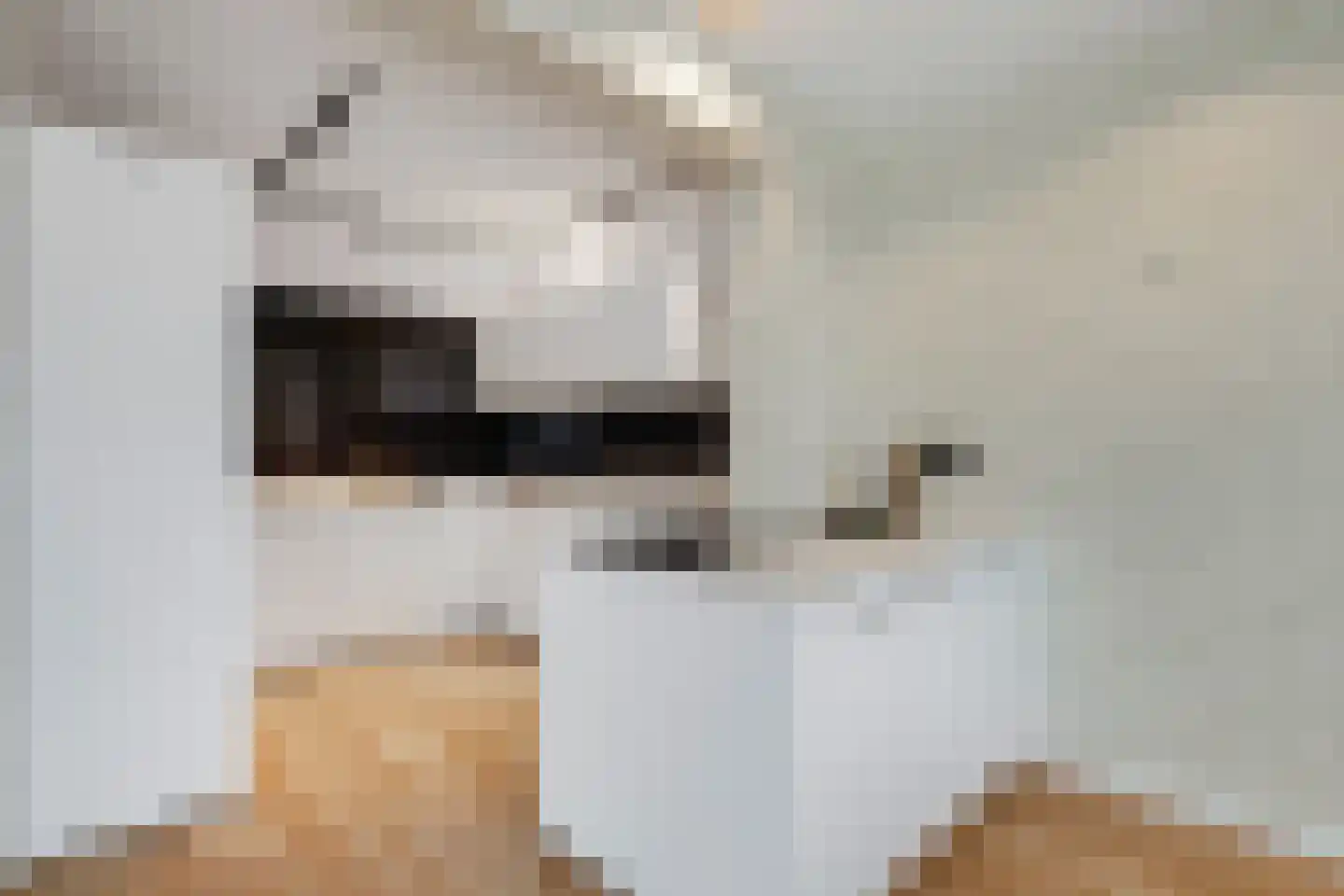 Cosseehof 26 Rotterdam thumbnail 15