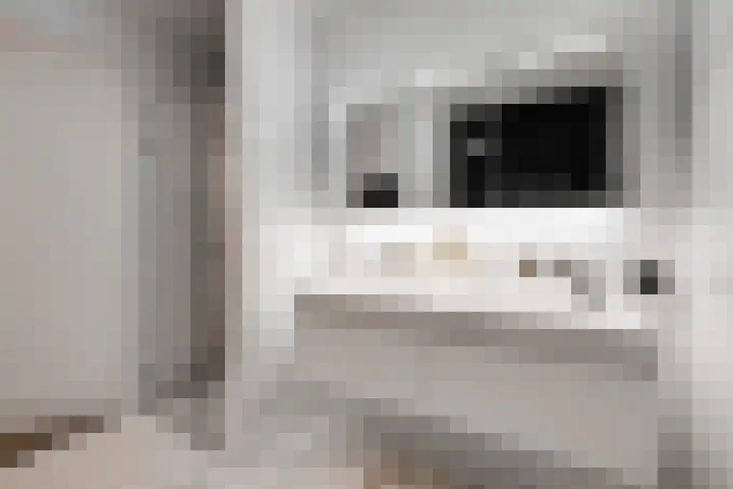 Cosseehof 26 Rotterdam thumbnail 25
