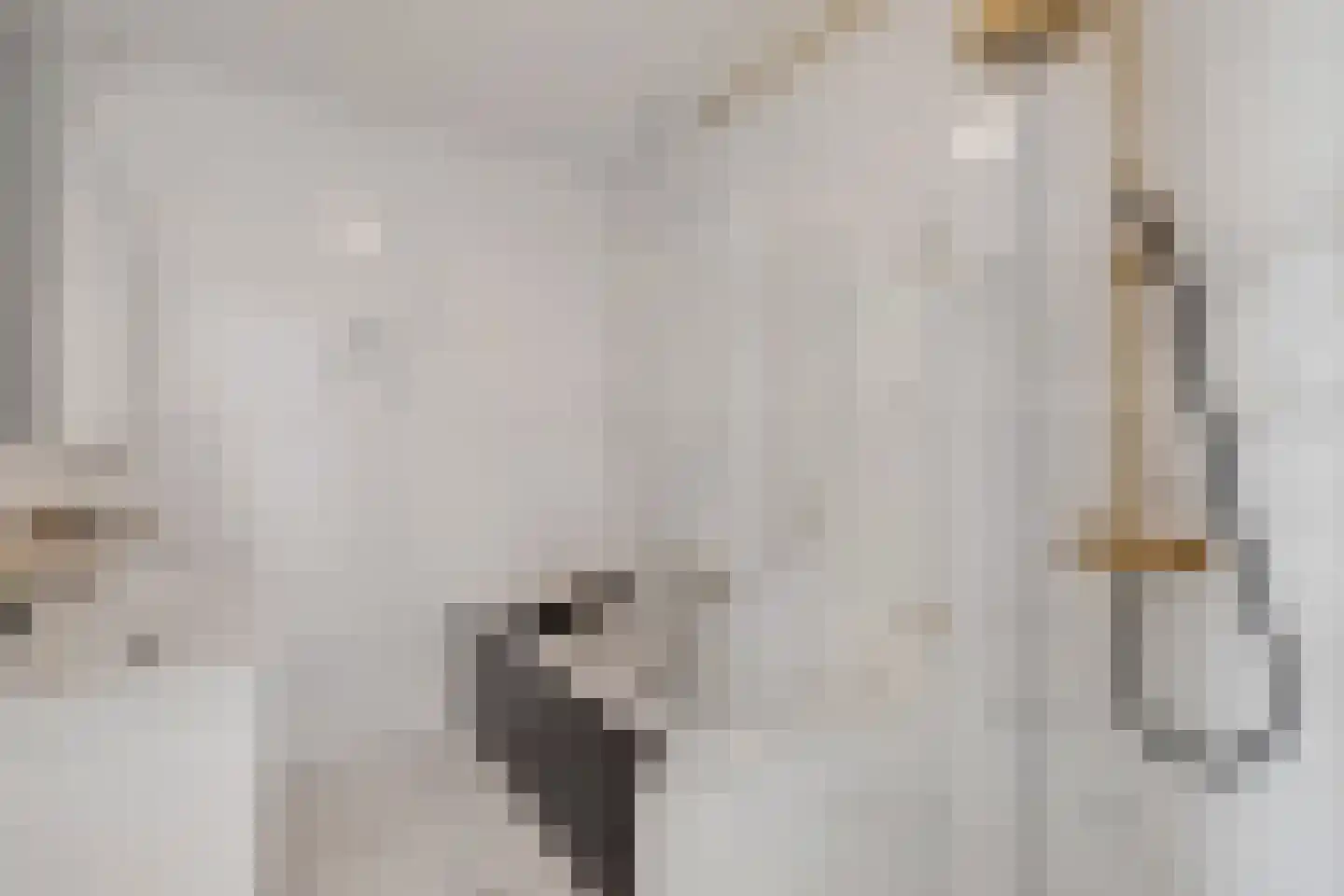 Cosseehof 26 Rotterdam thumbnail 27