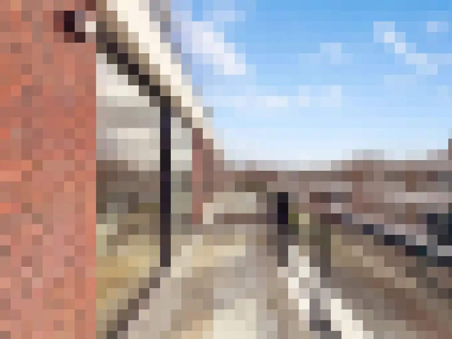 Cosseehof 26 Rotterdam thumbnail 30