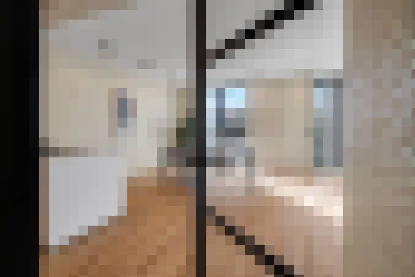 Cosseehof 26 Rotterdam thumbnail 7