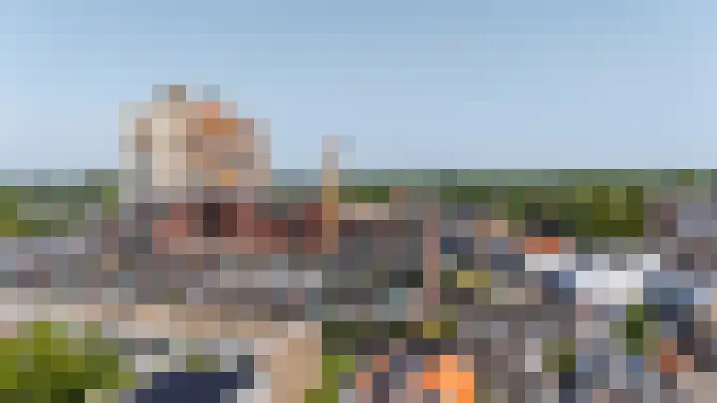 Cosseehof 40 Rotterdam thumbnail 24