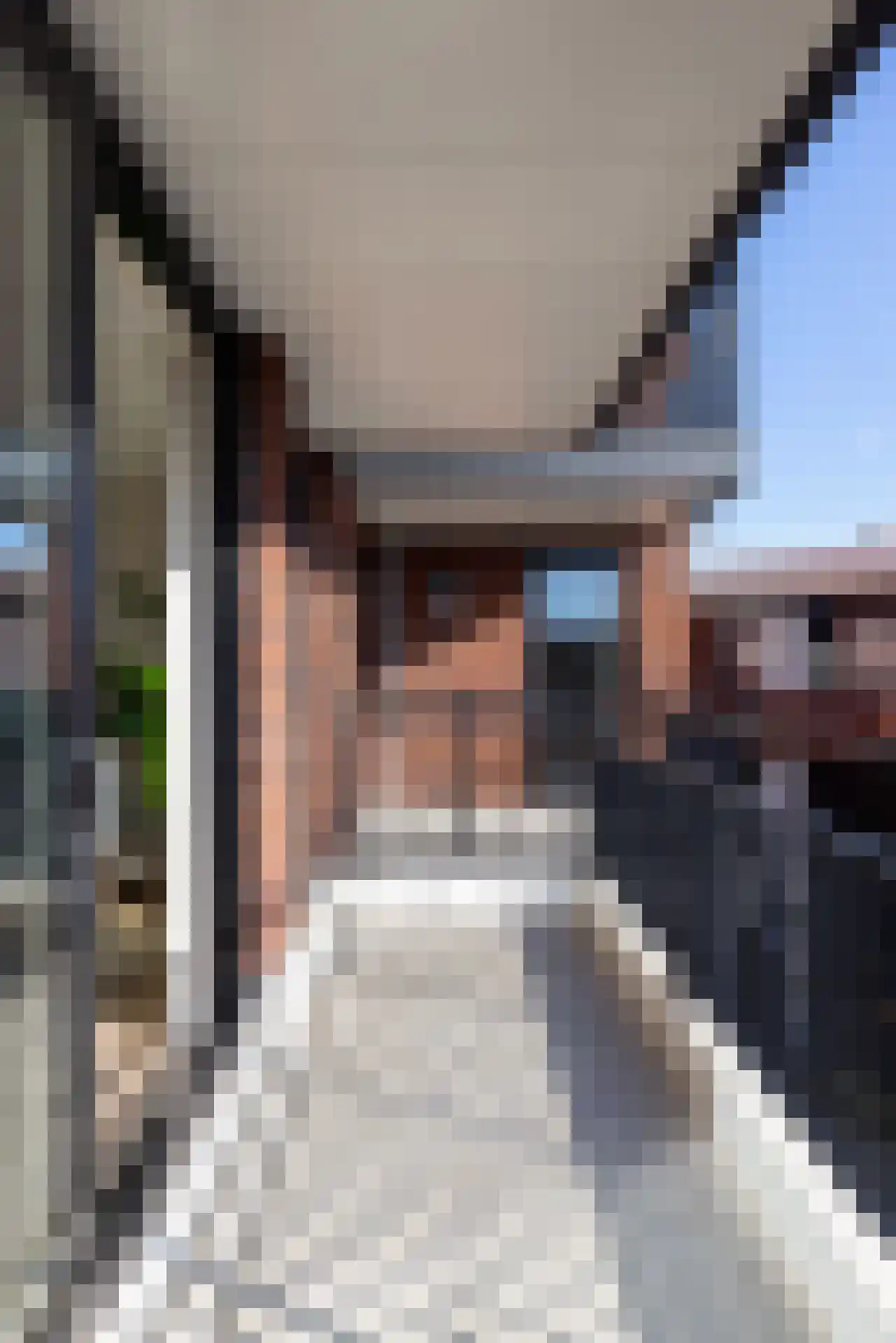Cosseehof 40 Rotterdam thumbnail 8