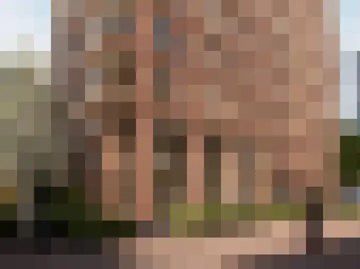 Costa del Sol 490 Haarlem thumbnail 4