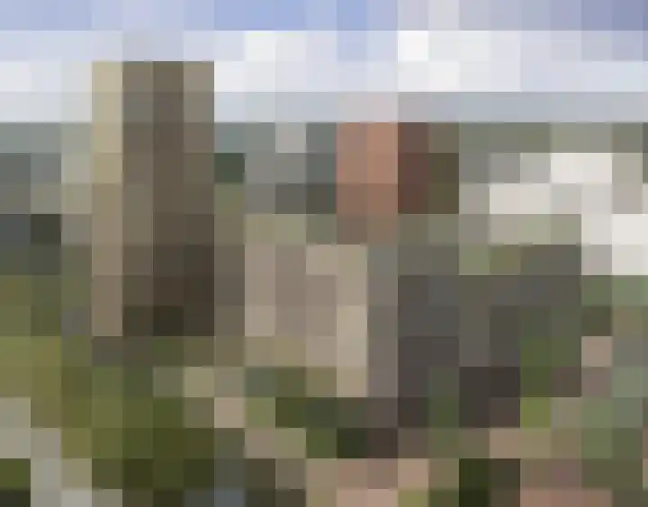 Costa del Sol 490 Haarlem thumbnail 5