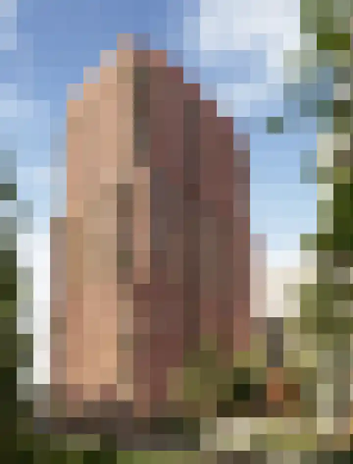 Costa del Sol 490 Haarlem thumbnail 6