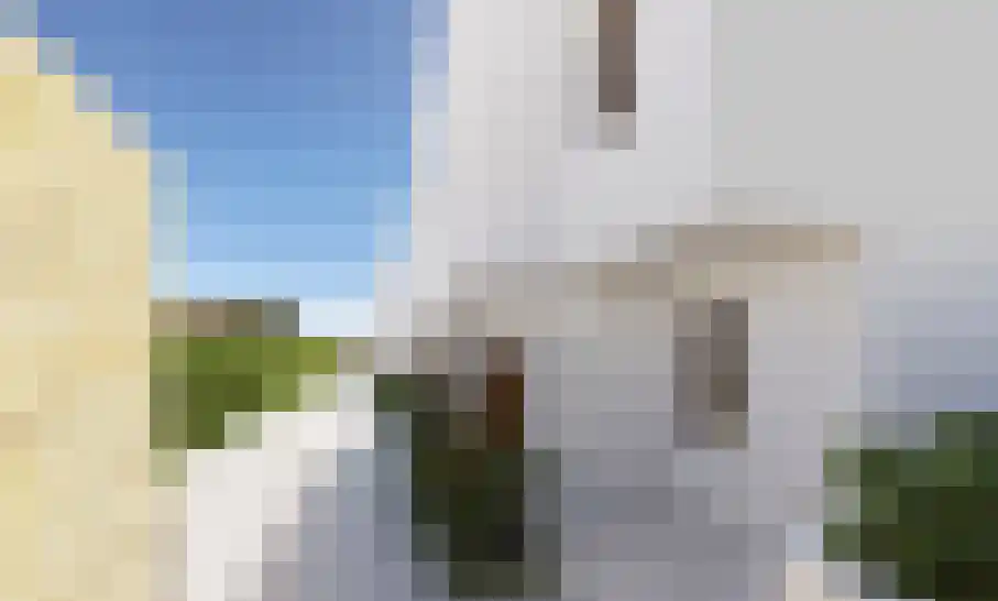 Costa del Sol Haarlem thumbnail 10