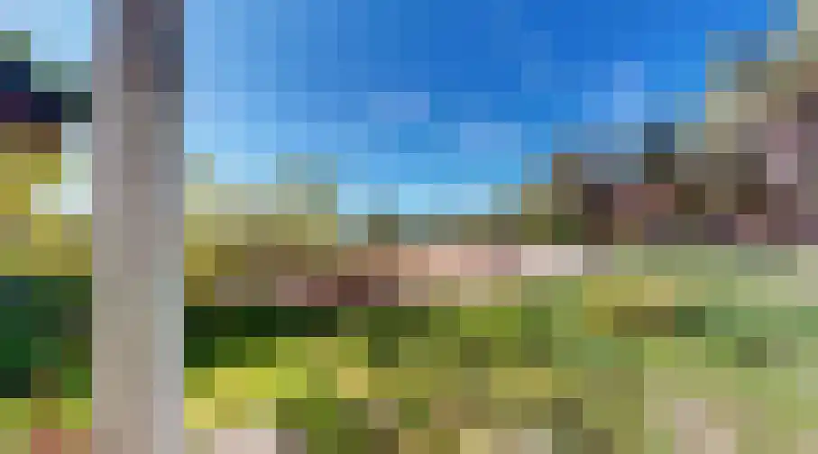 Costa del Sol Haarlem thumbnail 8