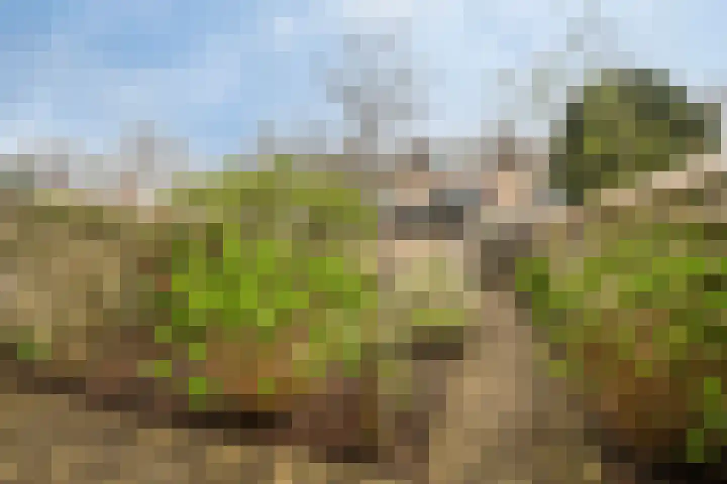 Costa Ricadreef 112 Utrecht thumbnail 30
