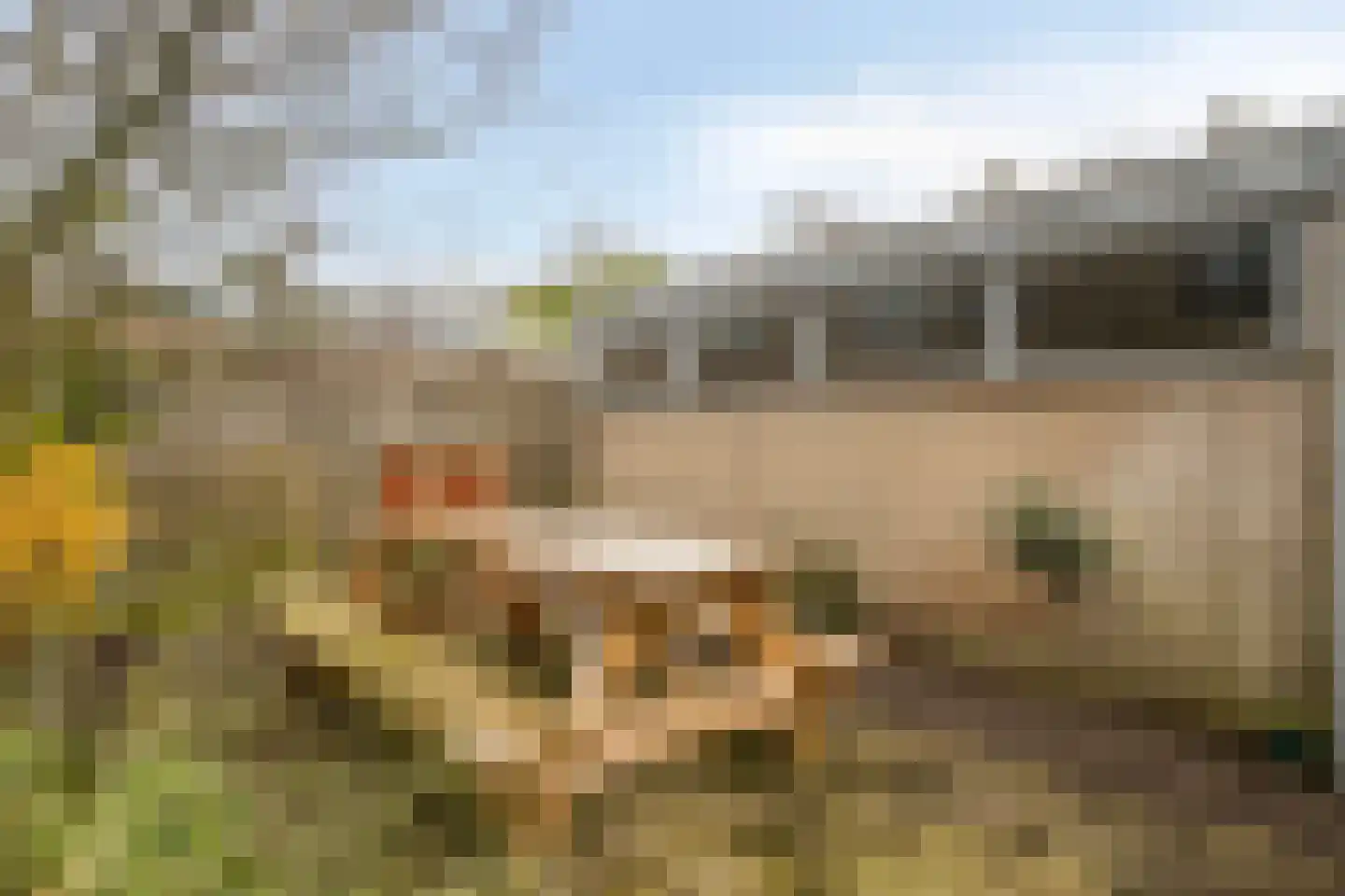 Costa Ricadreef 112 Utrecht thumbnail 32