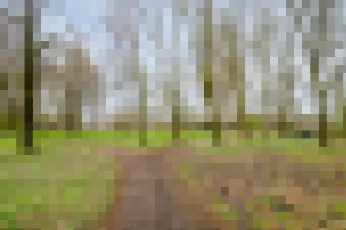 Costa Ricadreef 112 Utrecht thumbnail 39