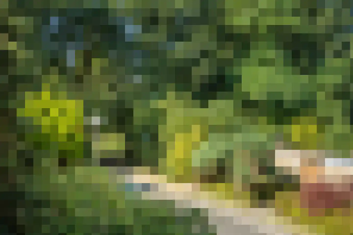 Costa Ricadreef 203 Utrecht thumbnail 31