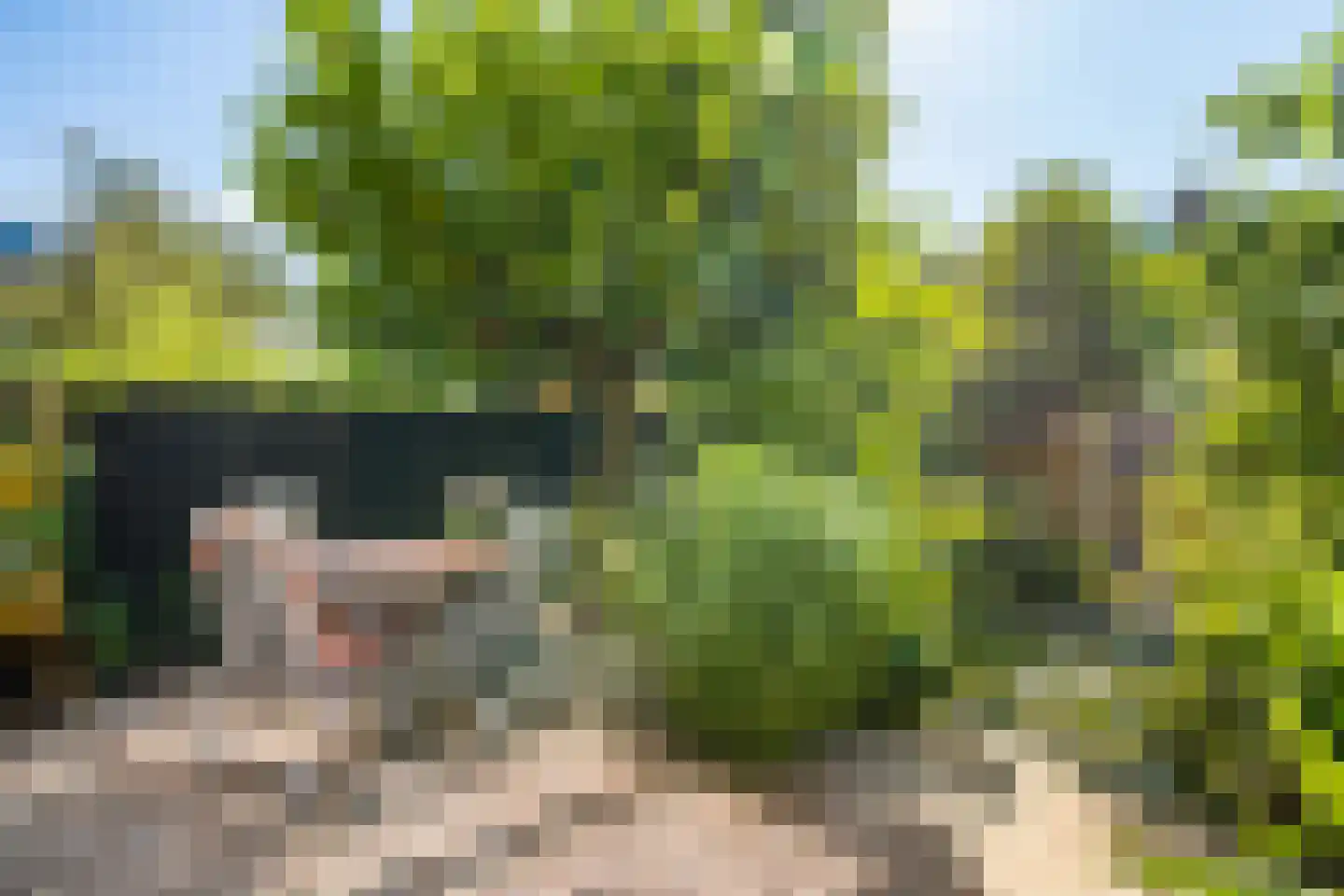 Costa Ricadreef 203 Utrecht thumbnail 41