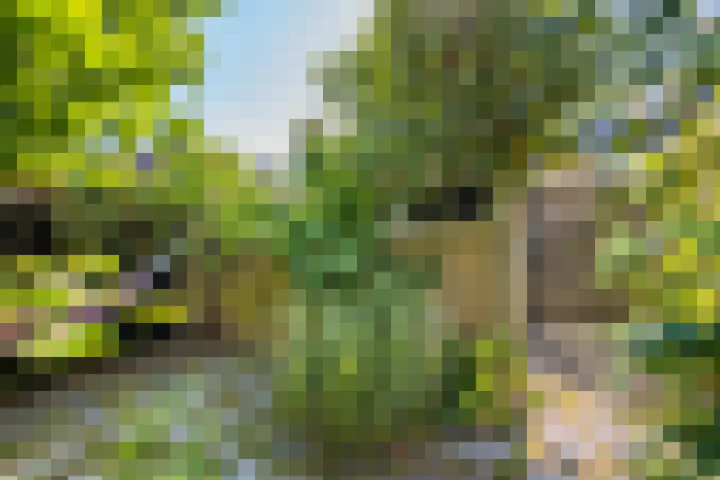 Costa Ricadreef 203 Utrecht thumbnail 42
