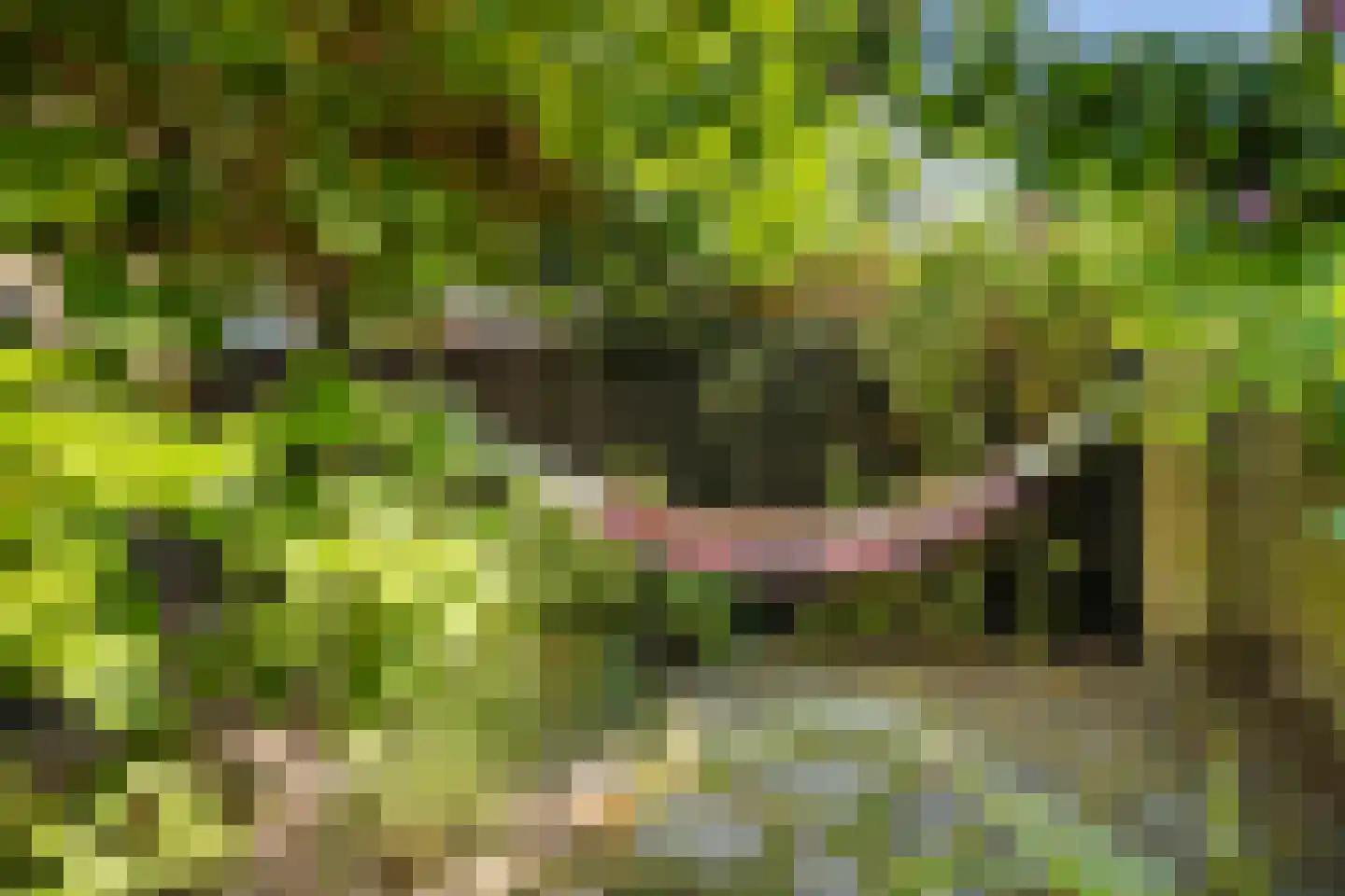 Costa Ricadreef 203 Utrecht thumbnail 44