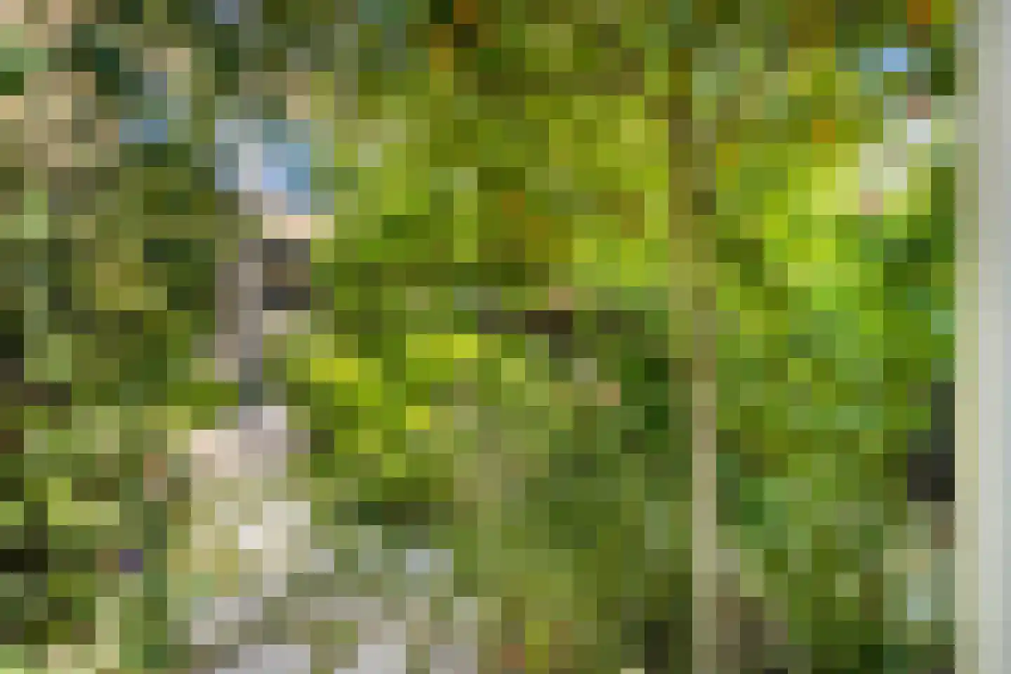 Costa Ricadreef 203 Utrecht thumbnail 45