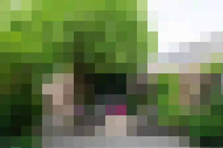 Costa Ricastraat 65 Alphen aan den Rijn thumbnail 13