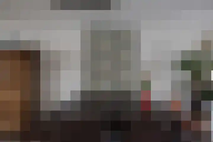 Costa Ricastraat 65 Alphen aan den Rijn thumbnail 21