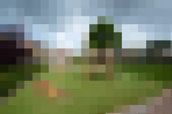 Costa Ricastraat 65 Alphen aan den Rijn thumbnail 44