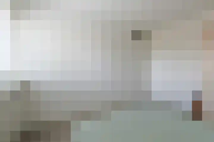 Costa Ricastraat 71 Alphen aan den Rijn thumbnail 31