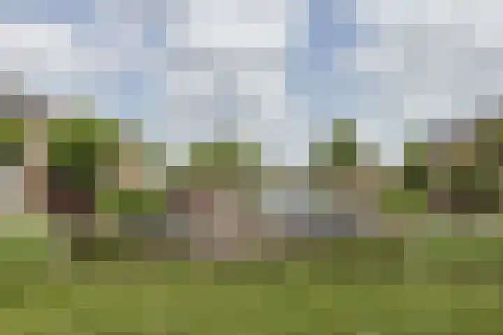 Costa Ricastraat 71 Alphen aan den Rijn thumbnail 52