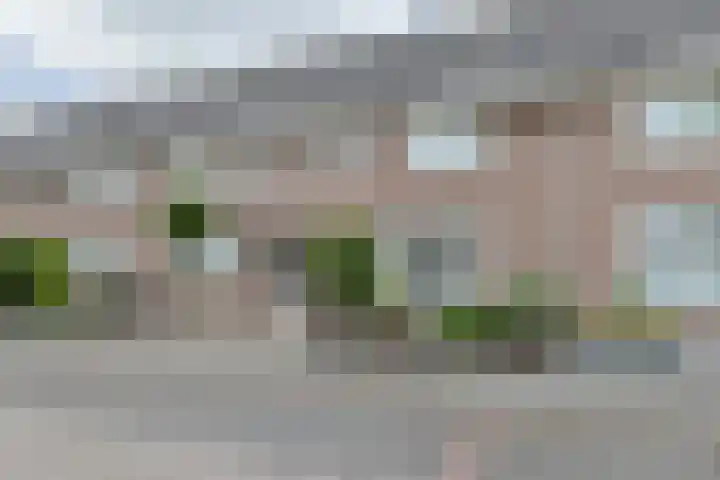 Costa Ricastraat 71 Alphen aan den Rijn thumbnail 6